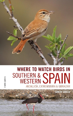 Cover of Where to Watch Birds in Southern and Western Spain