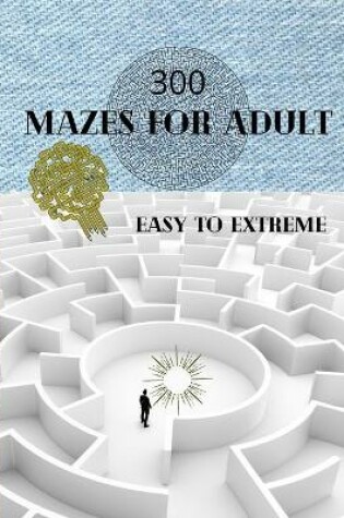 Cover of 300 Mazes For Adult Easy to Hard