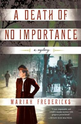 Book cover for A Death of No Importance