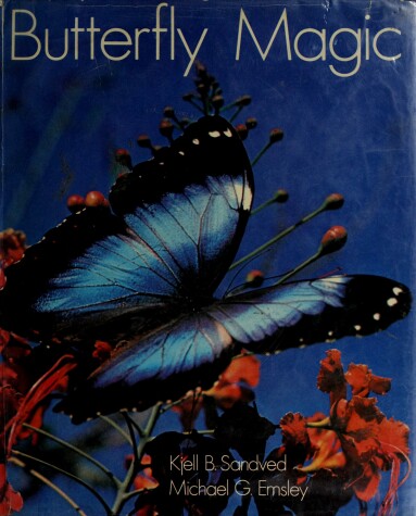 Cover of Butterfly Magic