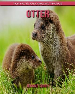 Book cover for Otter