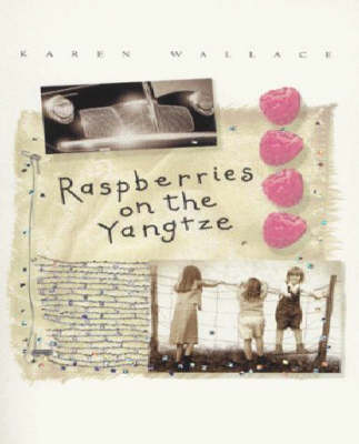 Book cover for Raspberries on the Yangtze
