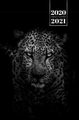Cover of Panther Leopard Cheetah Cougar Week Planner Weekly Organizer Calendar 2020 / 2021 - Black and White