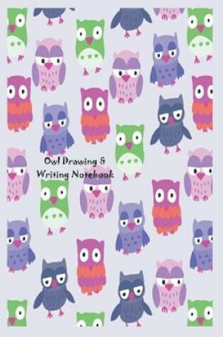 Cover of Owl Drawing & Writing Notebook