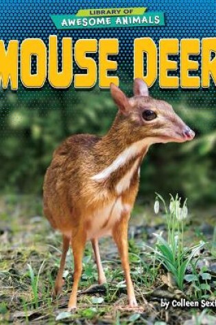 Cover of Mouse Deer