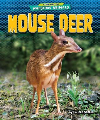 Book cover for Mouse Deer