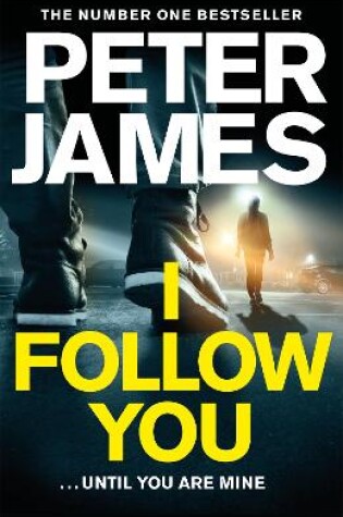 Cover of I Follow You