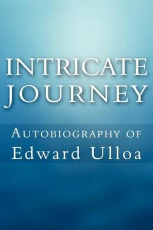Cover of Intricate Journey