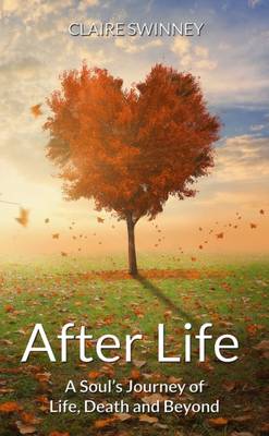 Cover of AFTER LIFE: A Soul's Journey of Life, Death and Beyond