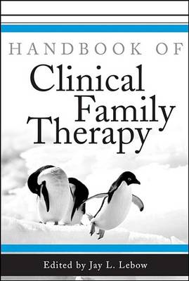 Book cover for Handbook of Clinical Family Therapy