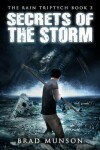 Book cover for Secrets of the Storm