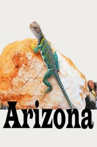 Cover of My Adventures to Arizona Travel Journal