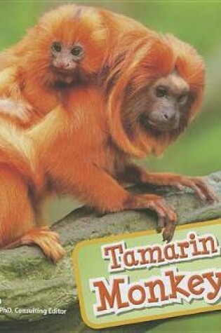 Cover of Tamarin Monkeys