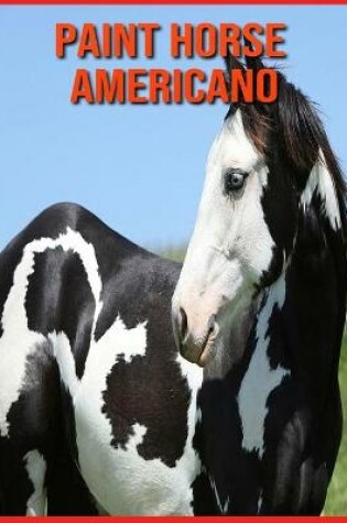Cover of Paint Horse Americano