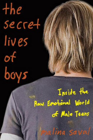 Cover of The Secret Lives of Boys