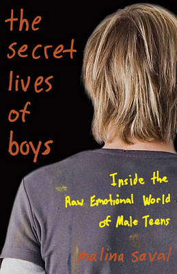 Book cover for The Secret Lives of Boys