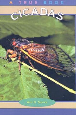 Cover of Cicadas