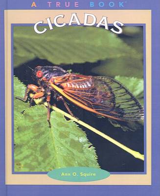 Book cover for Cicadas