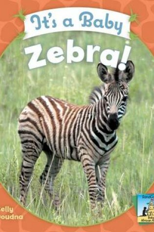 Cover of It's a Baby Zebra!