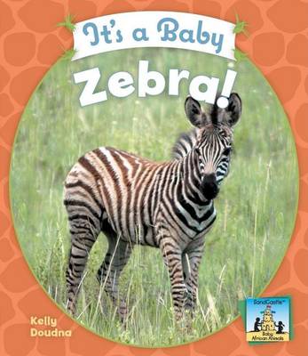 Cover of It's a Baby Zebra!