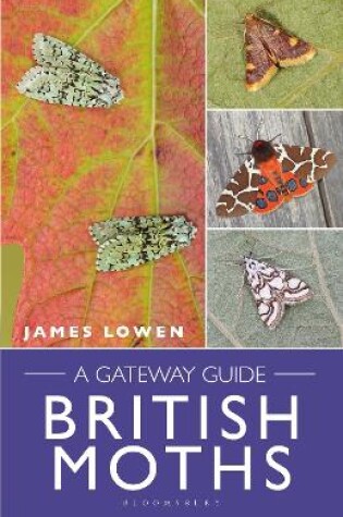Cover of British Moths