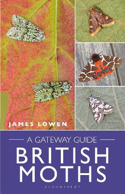 Book cover for British Moths