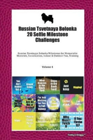 Cover of Russian Tsvetnaya Bolonka 20 Selfie Milestone Challenges