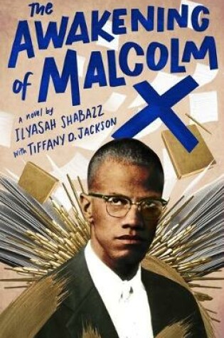 Cover of The Awakening of Malcolm X
