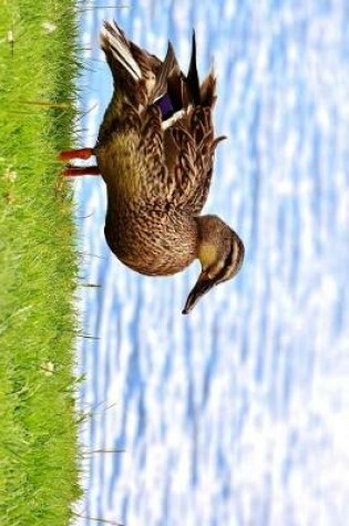 Cover of Mallard Duck Female by the Water Journal