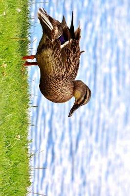 Book cover for Mallard Duck Female by the Water Journal