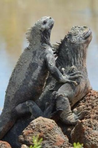 Cover of Galapagos Marine Iguanas Basking in the Sun Journal