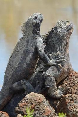 Book cover for Galapagos Marine Iguanas Basking in the Sun Journal