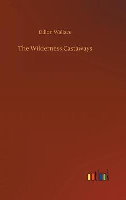 Book cover for The Wilderness Castaways