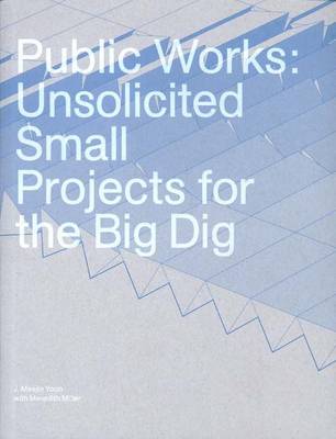 Book cover for Public Works