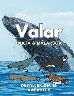 Book cover for Valar