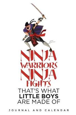Book cover for Ninja Warriors Ninja Fights That's What Little Boys Are Made of