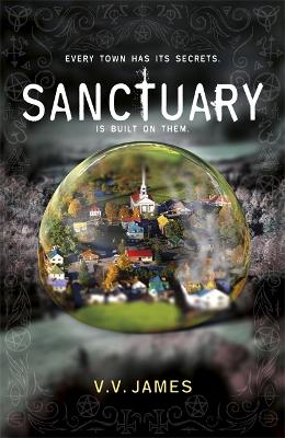 Book cover for Sanctuary