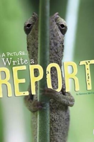 Cover of Write a Report!