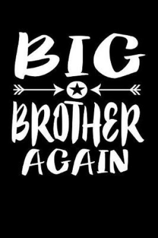 Cover of Big Brother Again