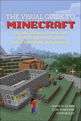 Book cover for Visual Guide to Minecraft®, A