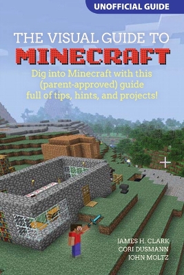 Book cover for Visual Guide to Minecraft®, A