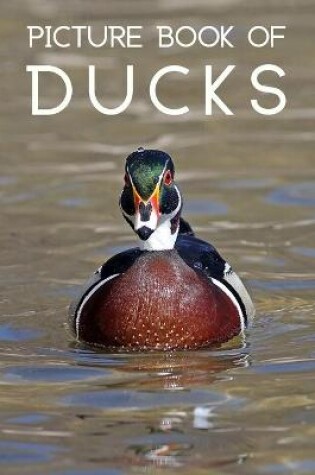 Cover of The Picture Book of Ducks