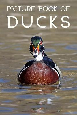 Book cover for The Picture Book of Ducks