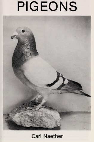 Cover of Pigeons