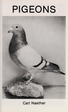 Book cover for Pigeons