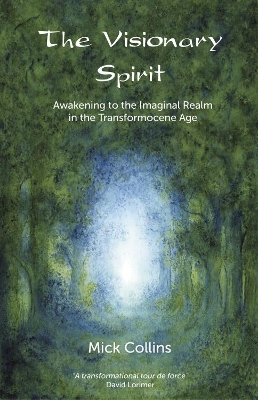 Book cover for The Visionary Spirit