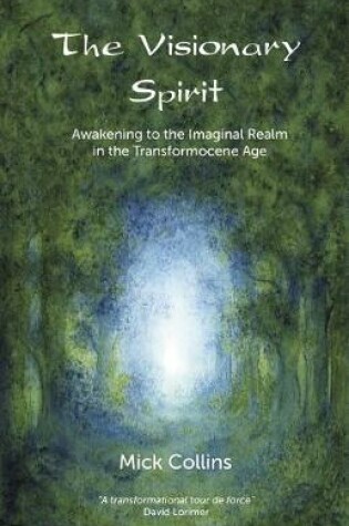 Cover of The Visionary Spirit