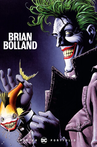 Cover of DC Poster Portfolio: Brian Bolland
