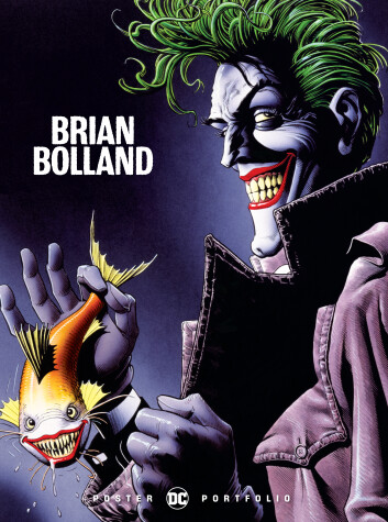 Cover of DC Poster Portfolio: Brian Bolland