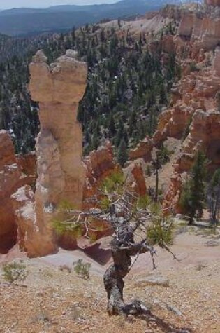 Cover of Hoodoo in Upper Hatshop in Bryce Canyon U S National Park in Utah